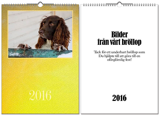 Exempel p� olika typer av framsidor f�r v�ggalmanacka A3.