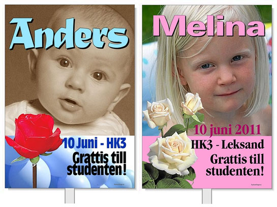 Tv� studentplakat