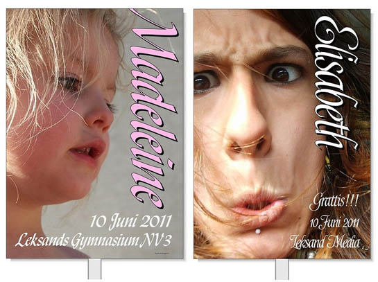 2 exempel p� studentplakat