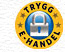 Trygg E-handel