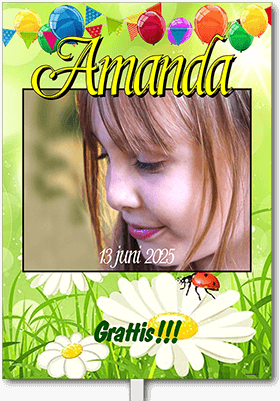 Studentskylt layout 18