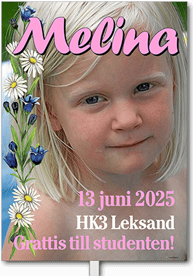 Studentskylt layout 24