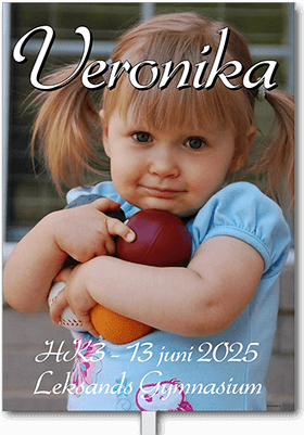 Studentskylt layout 28