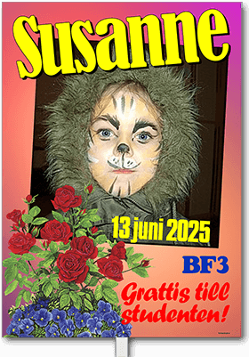 Studentskylt layout 34