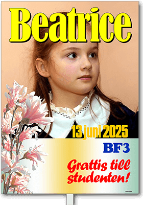Studentskylt layout 44